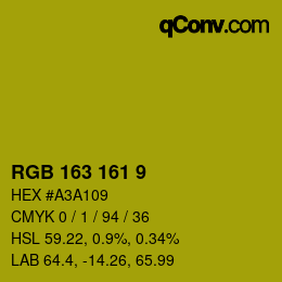 Color code: RGB 163 161 9 | qconv.com