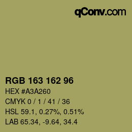 Color code: RGB 163 162 96 | qconv.com