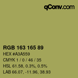 Color code: RGB 163 165 89 | qconv.com