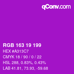 Color code: RGB 163 19 199 | qconv.com