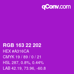 Color code: RGB 163 22 202 | qconv.com