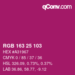 Color code: RGB 163 25 103 | qconv.com