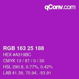 Color code: RGB 163 25 188 | qconv.com