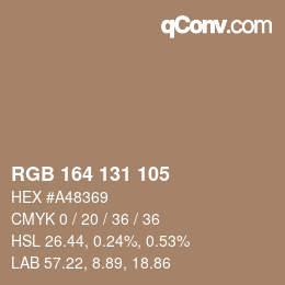 Color code: RGB 164 131 105 | qconv.com