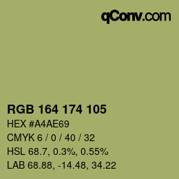 Color code: RGB 164 174 105 | qconv.com