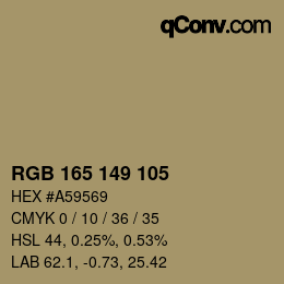 Código de color: RGB 165 149 105 | qconv.com