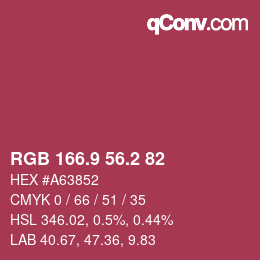 Color code: RGB 166.9 56.2 82 | qconv.com