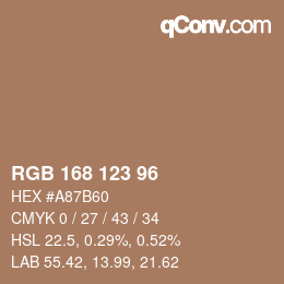 Color code: RGB 168 123 96 | qconv.com