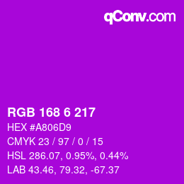 Color code: RGB 168 6 217 | qconv.com