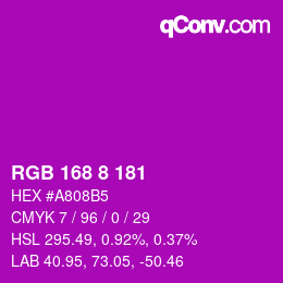 カラーコード: RGB 168 8 181 | qconv.com