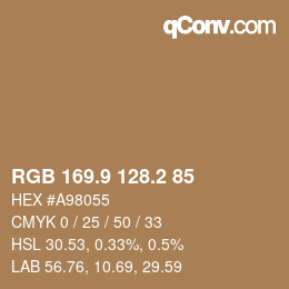 Color code: RGB 169.9 128.2 85 | qconv.com