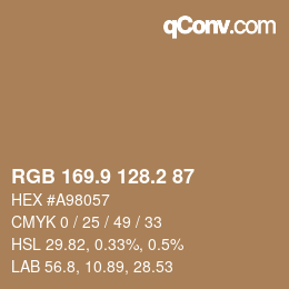 カラーコード: RGB 169.9 128.2 87 | qconv.com