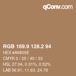 Farbcode: RGB 169.9 128.2 94 | qconv.com