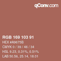 Farbcode: RGB 169 103 91 | qconv.com