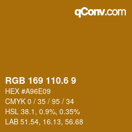 カラーコード: RGB 169 110.6 9 | qconv.com