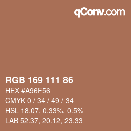 Color code: RGB 169 111 86 | qconv.com