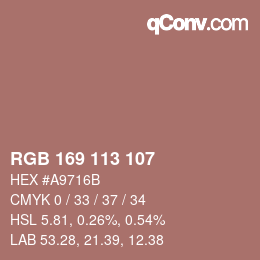 Color code: RGB 169 113 107 | qconv.com