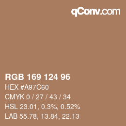 Farbcode: RGB 169 124 96 | qconv.com