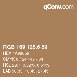 カラーコード: RGB 169 128.6 89 | qconv.com