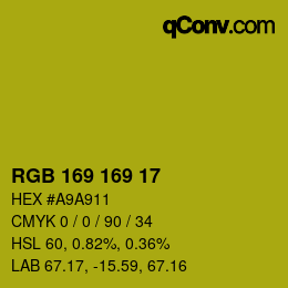 Color code: RGB 169 169 17 | qconv.com
