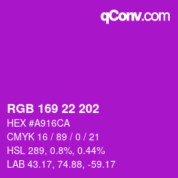 Color code: RGB 169 22 202 | qconv.com