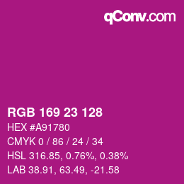 カラーコード: RGB 169 23 128 | qconv.com