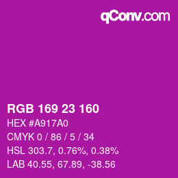Color code: RGB 169 23 160 | qconv.com