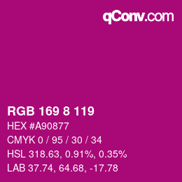 Color code: RGB 169 8 119 | qconv.com