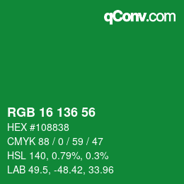 Color code: RGB 16 136 56 | qconv.com