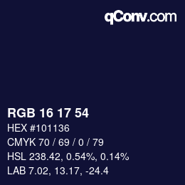 Color code: RGB 16 17 54 | qconv.com