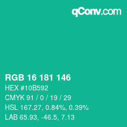 Color code: RGB 16 181 146 | qconv.com