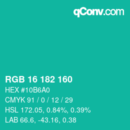 Color code: RGB 16 182 160 | qconv.com
