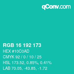 Color code: RGB 16 192 173 | qconv.com