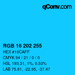 Color code: RGB 16 202 255 | qconv.com