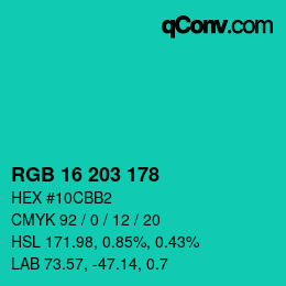 Farbcode: RGB 16 203 178 | qconv.com