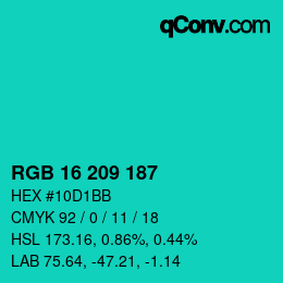 Color code: RGB 16 209 187 | qconv.com