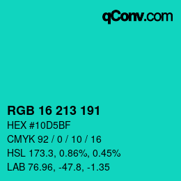 Color code: RGB 16 213 191 | qconv.com