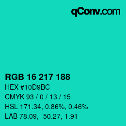 Color code: RGB 16 217 188 | qconv.com