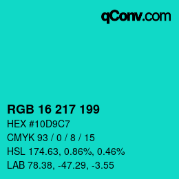 Color code: RGB 16 217 199 | qconv.com