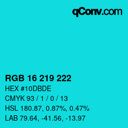 Color code: RGB 16 219 222 | qconv.com