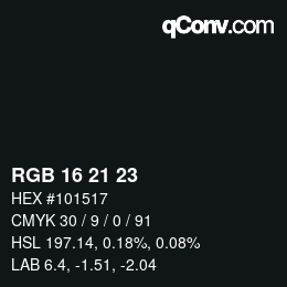 カラーコード: RGB 16 21 23 | qconv.com