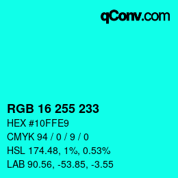 Color code: RGB 16 255 233 | qconv.com