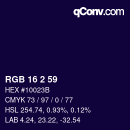 Color code: RGB 16 2 59 | qconv.com