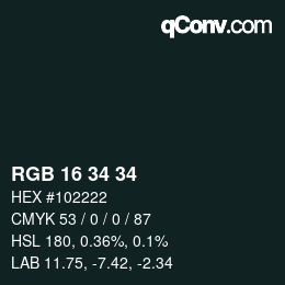 Color code: RGB 16 34 34 | qconv.com