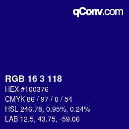 Color code: RGB 16 3 118 | qconv.com
