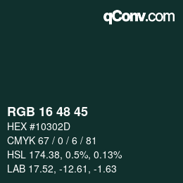 Color code: RGB 16 48 45 | qconv.com