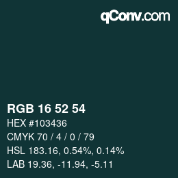 Color code: RGB 16 52 54 | qconv.com