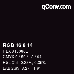 カラーコード: RGB 16 8 14 | qconv.com