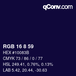 Color code: RGB 16 8 59 | qconv.com