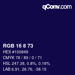 Color code: RGB 16 8 73 | qconv.com